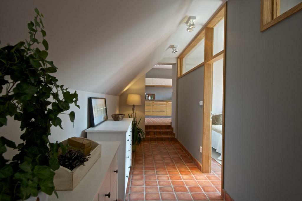 Statek Topelec Appartman I Apartment Pisek  Exterior photo